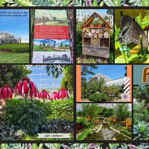 Phipps, June 2018