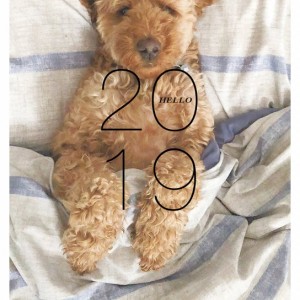 2019 Calendar - Buster Edition