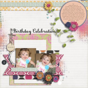 Birthday Celebration