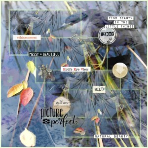 Why It Works-Polly Challenges-August-Mirror Images-Blue Bird