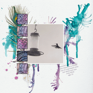 Hummingbird-samweb
