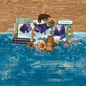 Bearizona-water-play