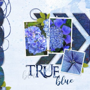 09-01-18_MakeItSnappy_True-Blue