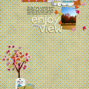 Enjoy the View