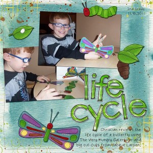 Life Cycle