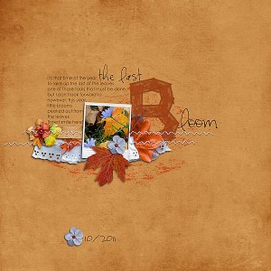 the last bloom