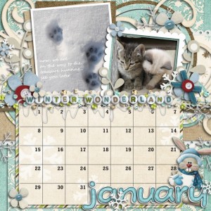 CD calendar -January