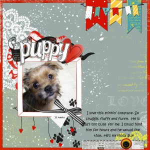 puppylove5