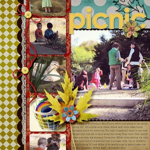 Picnic
