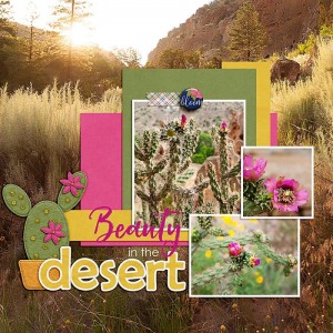 07.28.15-Beauty-in-the-desert