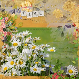 Time Stands Still