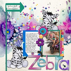 Driving Your Zebra