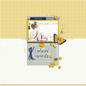 18-09_TLP_template-challenge