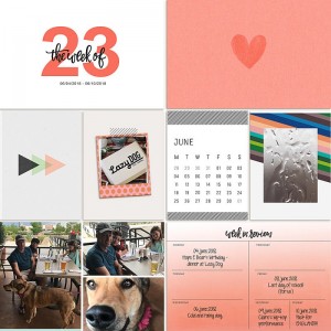 2018.06.04 PL Left