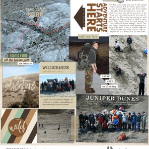 Juniper-Point-2012
