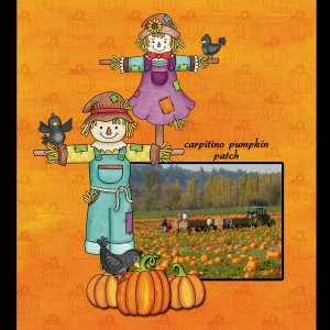 Pumpkin-patch-kate-hadfield