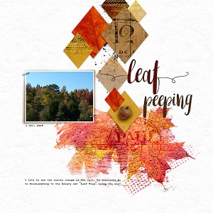 Leaf Peeping