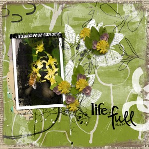 Full Bloom