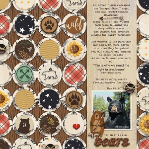 Right-to-Arm-Bears