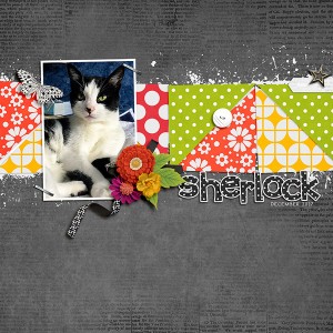 sherlock