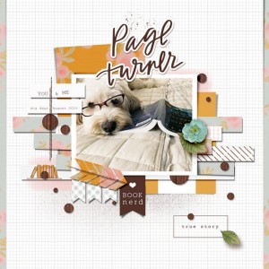 PP_pageturner Copy