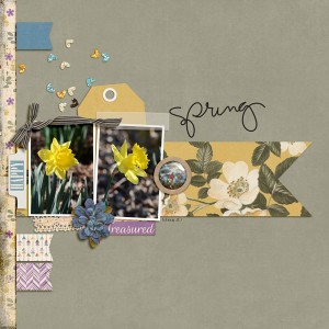 Spring flowers