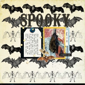 Spooky (a bat on my back porch)