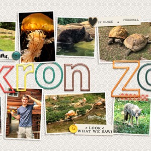 Akron Zoo
