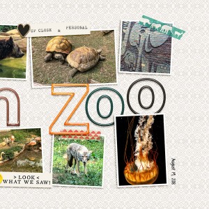 Akron Zoo_right