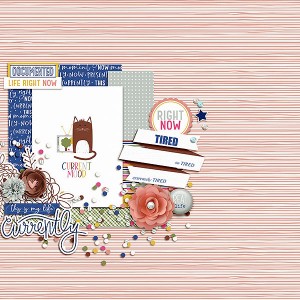 Fdd_PicturePerfect_DD_tp2