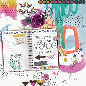 Find your voice