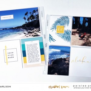 Paislee-ALOHA-projectbyJenCarlson