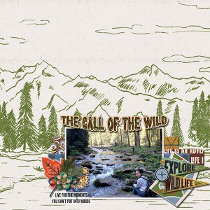 The Call of The Wild