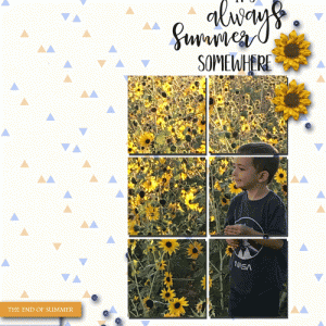 Wyatt-sunflowers-web
