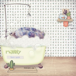 Mannys-first-bath-