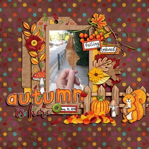 Autumn is here