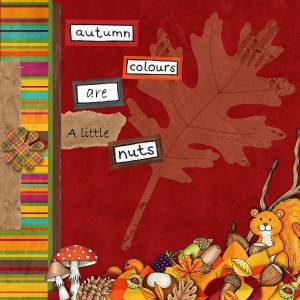Autumn Colours Are Nuts