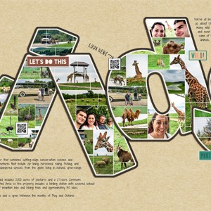 The Wilds Safari Park