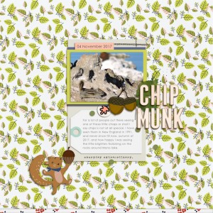 16Nov04_chipmunk01