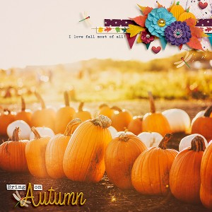 Bring on Autumn
