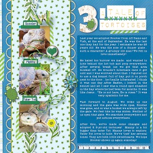 A tale of 3 tortoises