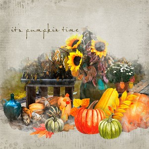 it's pumpkin time