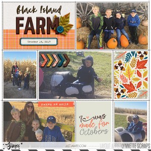 black island farm - left side