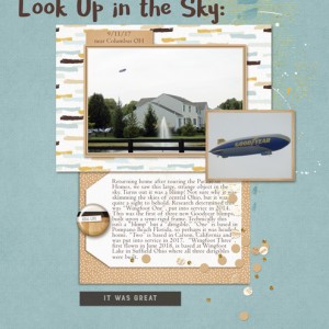 Look-Up-in-the-Sky-(2)