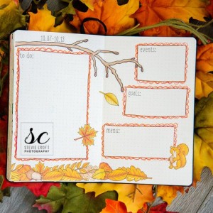 Bujo: Fall Leaves