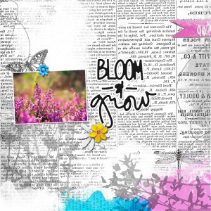 Bloom&grow