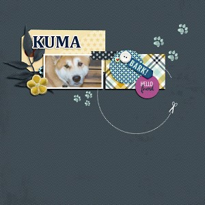Kuma