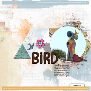 15may08_bird
