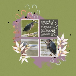 Green-Heron-(2)