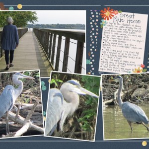 Great-Blue-Heron